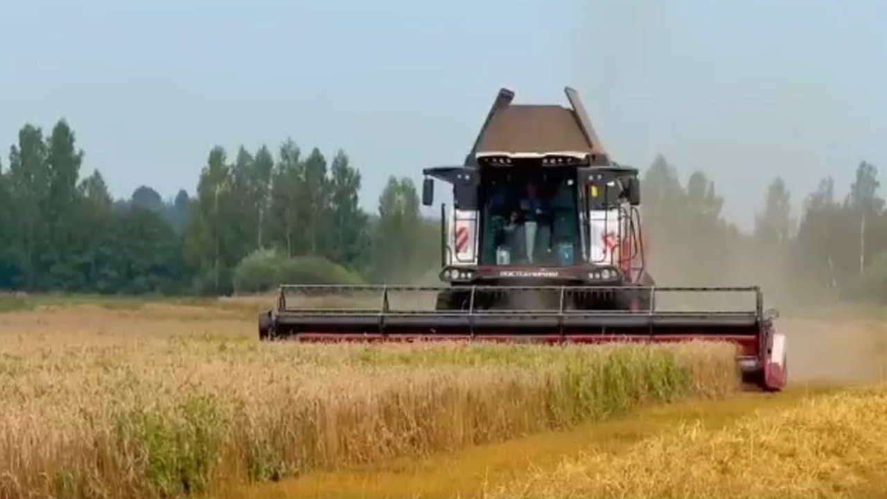 Главная картинка новости: Аграрии Владимирской области собрали урожай с 13,7 тысячи гектаров зерновых культур