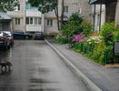 В регионе на благоустройство дворов в 2025 году было направлено 1,5 миллиарда рублей