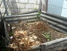 3 ложки на кучу — даже самые толстые ветви начнут гнить: компост легко и просто — земля будет как хлеб