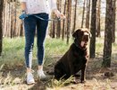 Собаководство, стрельба, и прочее: что на предстоящей неделе ждёт Владимирскую область