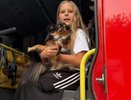 На семью из Владимира напала уличная собака