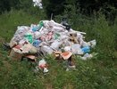 В Камешковского районе ликвидировали свалки в заповедных зонах