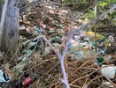 В Муроме разрослась свалка между домами на улицах Комсомольской и Первомайской