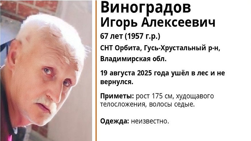 Главная картинка новости: В Гусь-Хрустальном районе 67-летний мужчина ушёл в лес и не вернулся