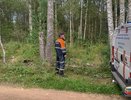 В Камешковском районе спасатели и полиция нашли потерявшихся в лесу женщин