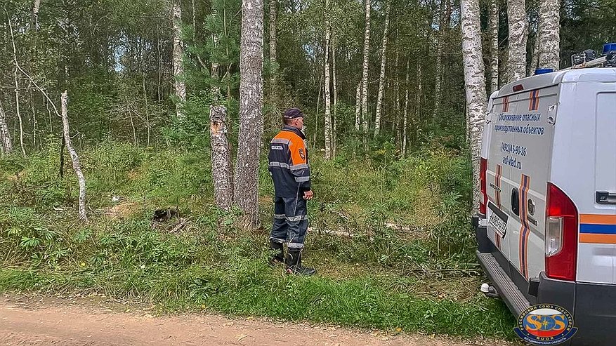 Главная картинка новости: В Камешковском районе спасатели и полиция нашли потерявшихся в лесу женщин