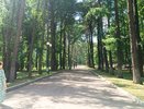 Почему мужчина для одной готов на всё, а для другой - ни на что