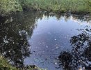 Четырёхлетний мальчик из Коврова утонул в водоёме в районе улицы Живописной