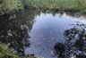 Миниатюра новости: Четырёхлетний мальчик из Коврова утонул в водоёме в районе улицы Живописной