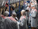 Во Владимиро-Суздальском Ополье проходит соревнование за звание лучшего дояра страны