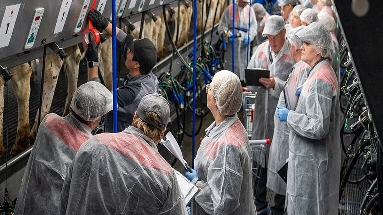 Главная картинка новости: Владимирские специалисты в числе победителей Всероссийского конкурса машинного доения