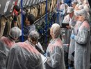 Владимирские специалисты в числе победителей Всероссийского конкурса машинного доения