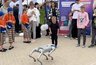 Миниатюра новости: Концерт группы SAMBATERIA и фестивали в парке имени Пушкина: празднование Дня города