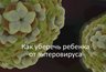 Миниатюра новости: Специалисты регионального Роспотребнадзора рассказали, как уберечь ребёнка от энтеровируса