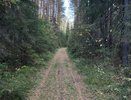 10 пунктов для комфортного похода