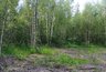 Миниатюра новости: Под Суздалем неизвестные незаконно вырубили деревья на сумму более 130 тысяч рублей