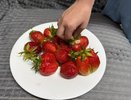 Черви в сливе и клубнике: как убрать вредителей - быстрый и эффективный способ