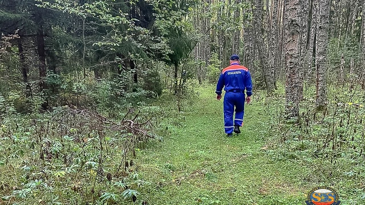 Главная картинка новости: Спасатели и полиция выезжали на поиски пропавших грибников под Камешковом