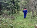 Спасатели и полиция выезжали на поиски пропавших грибников под Камешковом