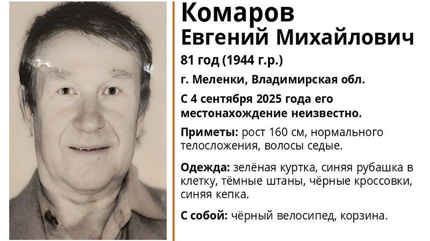 Главная картинка новости: В Меленках ищут пропавшего 81-летнего мужчину с велосипедом и корзиной