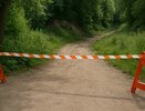 Во Владимире овраг на улице Фатьянова закроют для борьбы с грызунами