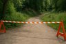Миниатюра новости: Во Владимире овраг на улице Фатьянова закроют для борьбы с грызунами