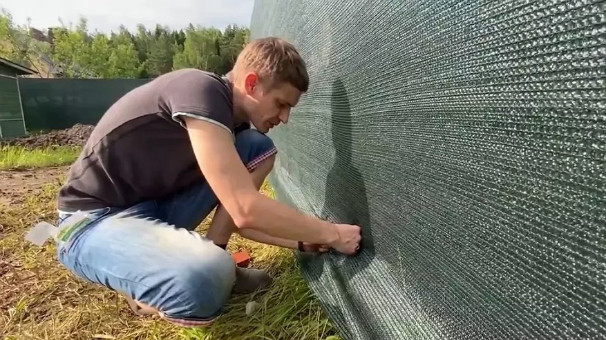 Главная картинка новости: Забора лучше этого не нашла: поставили ограждение на даче за сутки, а сумма вышла небольшой: соседи обзавидовались