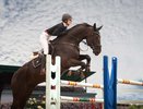 Конный спорт велоспорт, и другие: что ждет Владимирскую область в ближайшие дни