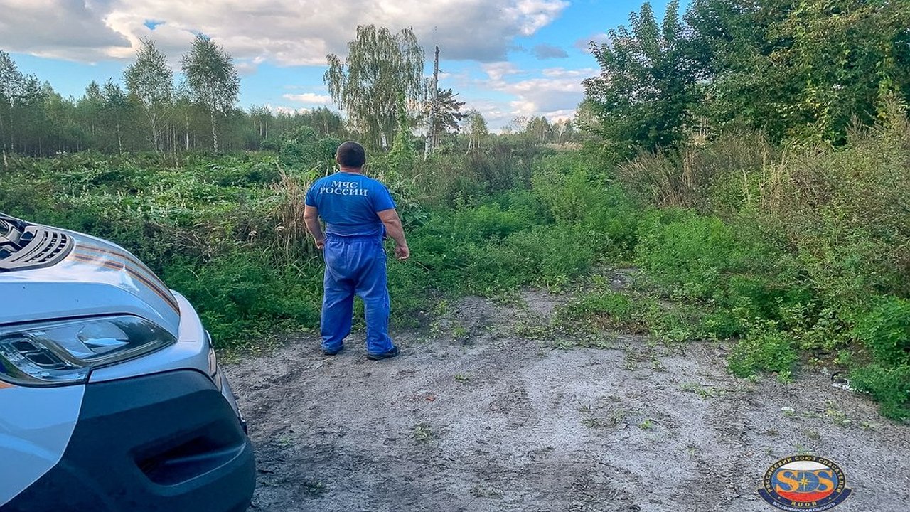 Главная картинка новости: В Камешковском районе спасли заблудившегося в лесу 72-летнего грибника