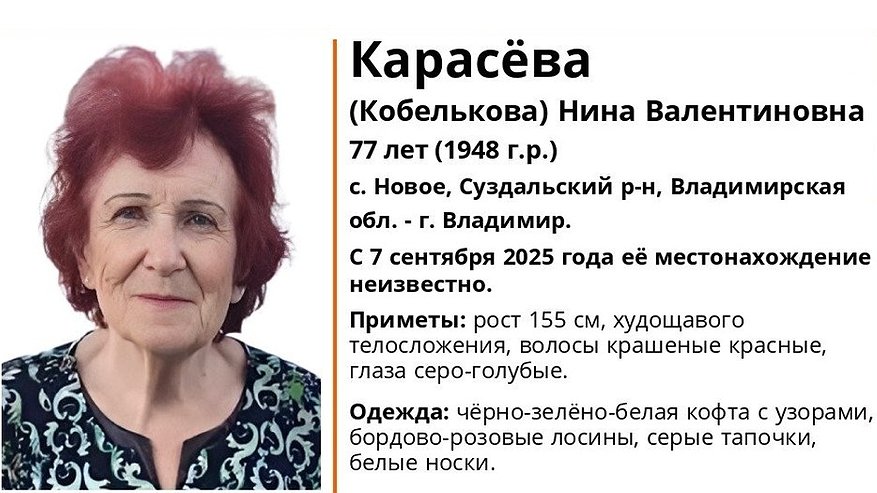Главная картинка новости: В Суздальском районе пропала 77-летняя женщина с красными волосами