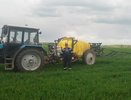 Под урожай 2026 года во Владимирской области засеют более 34 тысяч гектаров озимых