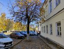 Погода приготовила двойной сюрприз на эту осень: Вильфанд рассказал, когда ждать «бабье лето»