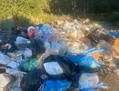Контейнерную площадку в деревне Акулово превратили в большую свалку