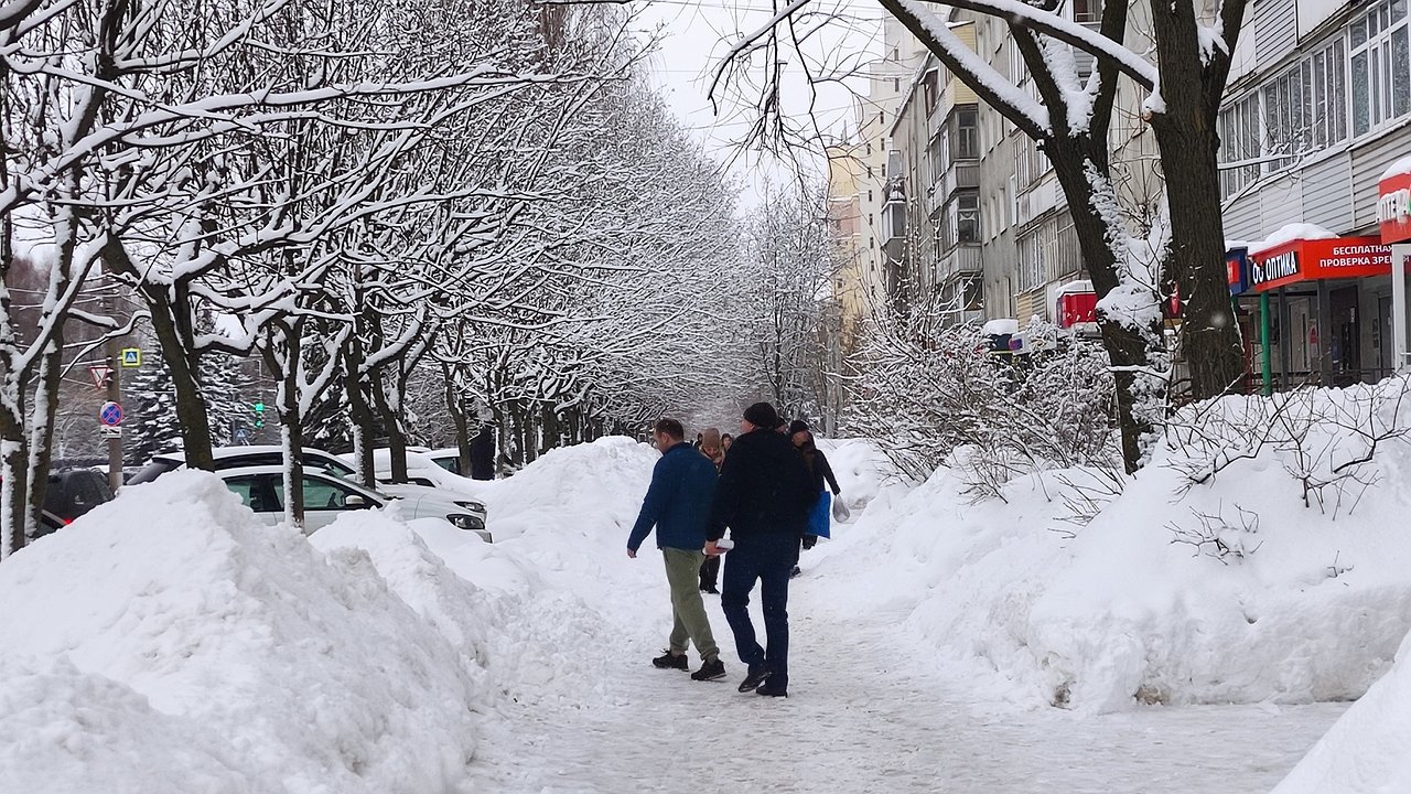 Главная картинка новости: Зима-2026 никого не пожалеет: метеорологи призвали дачников и пожилых готовиться к худшему – прогноз