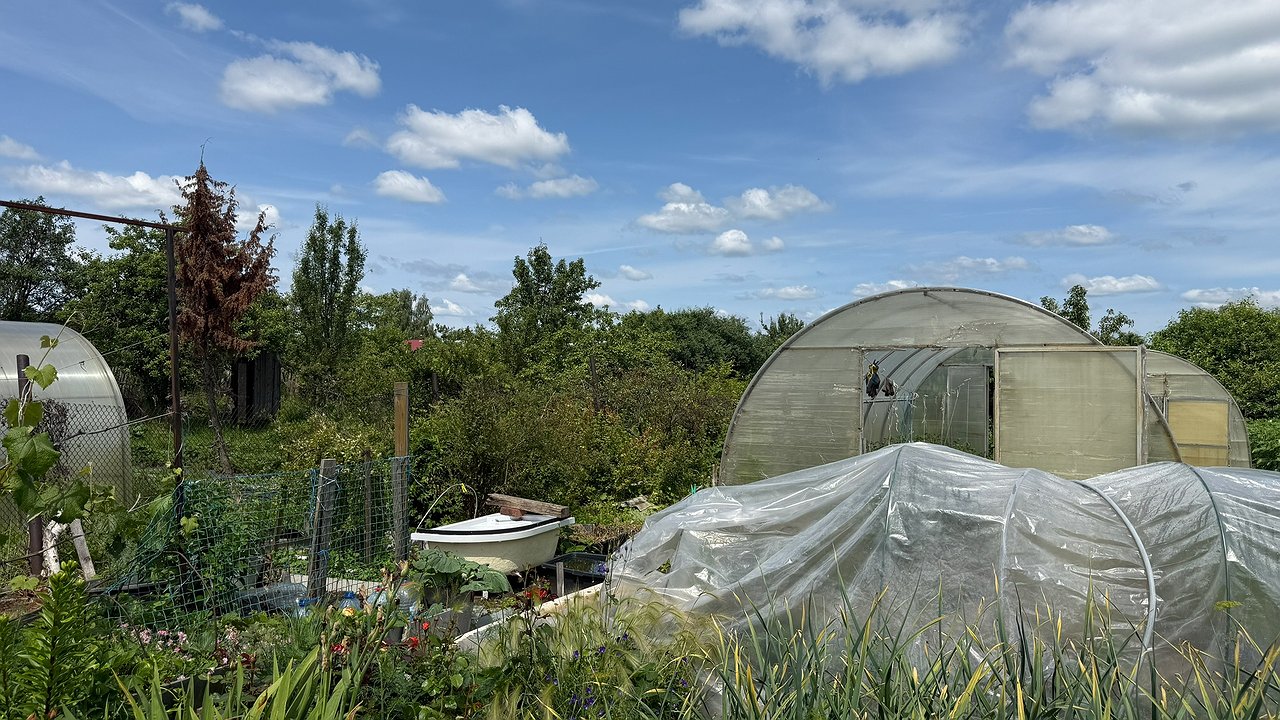 Главная картинка новости: За копейки обеспечила на даче чернозём: 1 «пузырёк» заменит 100 кг навоза - проливаю все грядки как только убран урожай