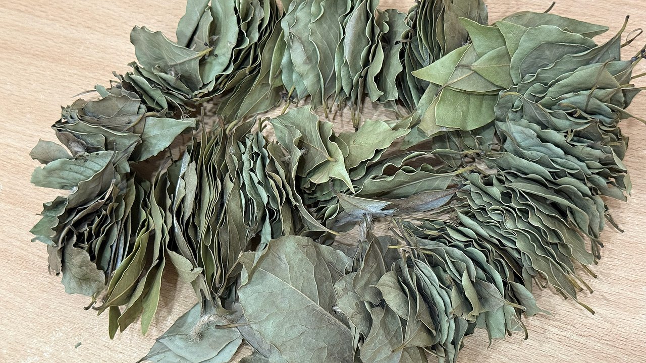 Главная картинка новости: С наступлением холодов выкладываю лавровый лист на батарею и живу без бед, вся семья видит разницу: вот, что происходит