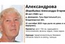 Миниатюра новости: Во Владимирской области ищут пропавшую 80-летнюю женщину из деревни Демидово