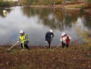 Во Владимире назначена дата общегородского субботника