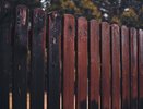 Чем заменить забор из профлиста: новые тренды в ограждении участка