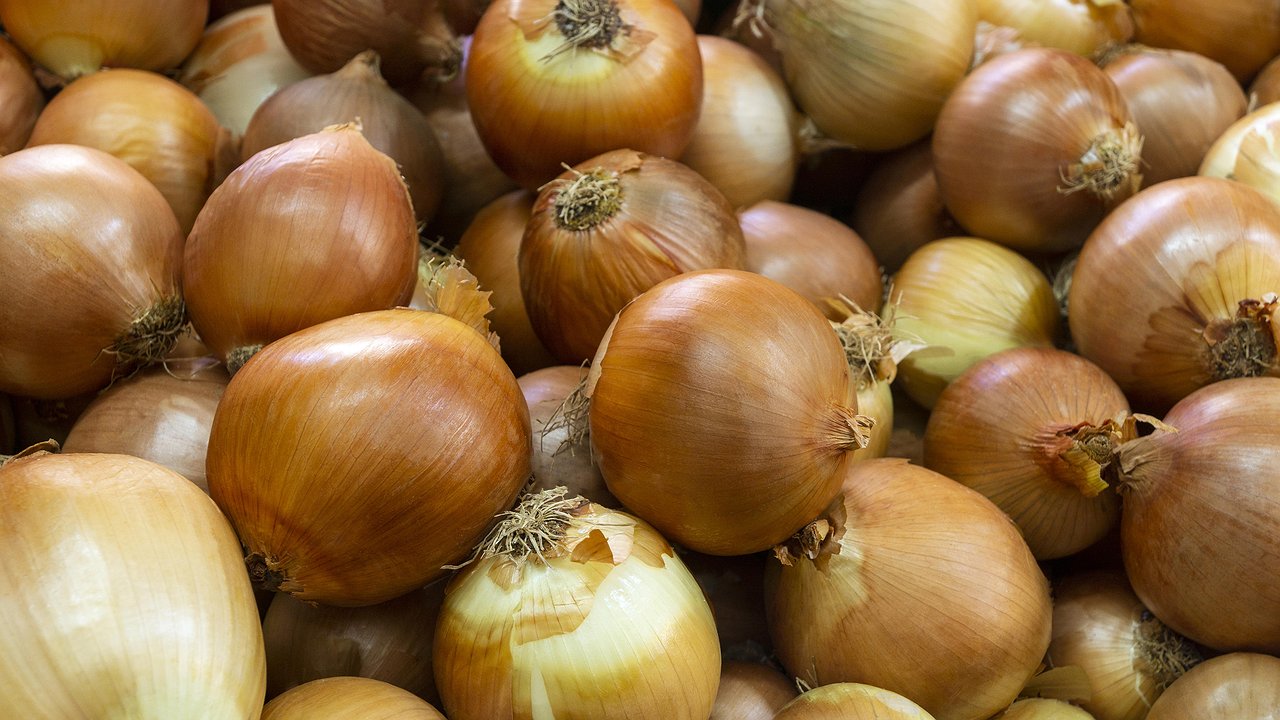 Главная картинка новости: Забудьте о весенней суете: как лук, посаженный под зиму, сэкономит ваше время