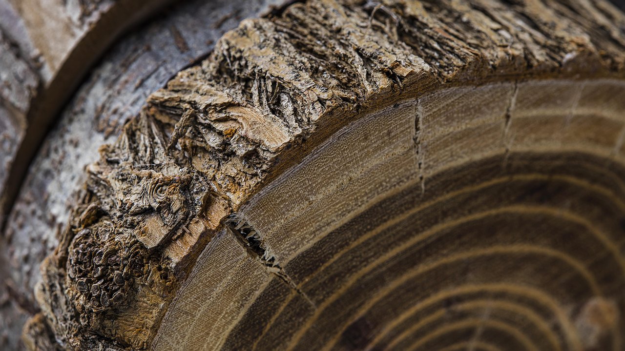 Главная картинка новости: Трещины в бревенчатом доме? Готовлю простую замазку из двух ингредиентов