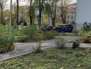 Во Владимире готовят 36 проектов озеленения на будущий год