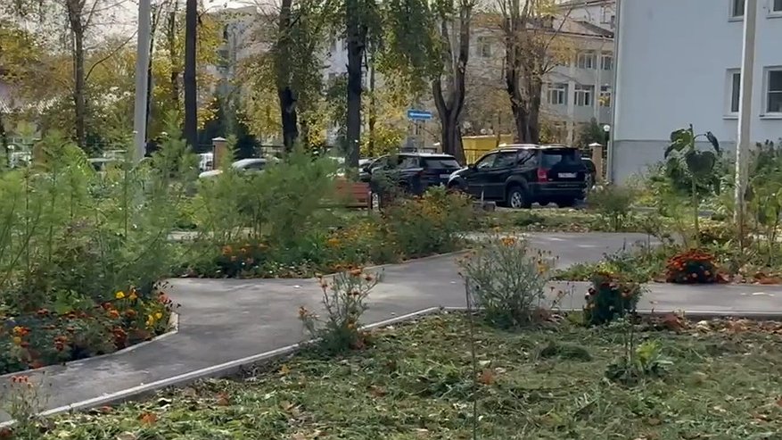 Главная картинка новости: Во Владимире готовят 36 проектов озеленения на будущий год