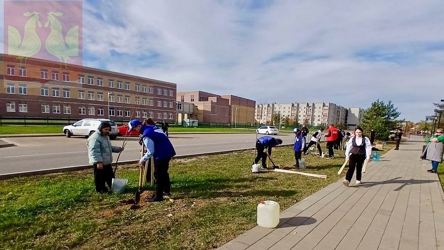 Главная картинка новости: В Покрове школьники и волонтёры высадили Аллею Героев