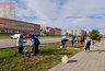 Миниатюра новости: В Покрове школьники и волонтёры высадили Аллею Героев