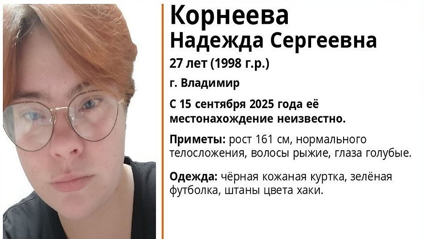 Главная картинка новости: Во Владимире ищут пропавшую в середине сентября 27-летнюю девушку