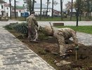 Два сквера Суздаля получат 36 новых деревьев при участии местных жителей