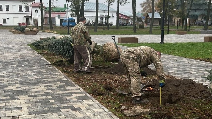 Главная картинка новости: Два сквера Суздаля получат 36 новых деревьев при участии местных жителей