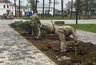 Миниатюра новости: Два сквера Суздаля получат 36 новых деревьев при участии местных жителей