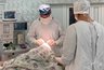 Миниатюра новости: Выжившая в смертельном ДТП под Гусь-Хрустальным девочка борется за жизнь в реанимации